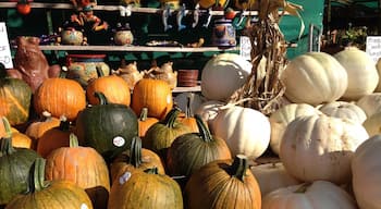 Farmers market