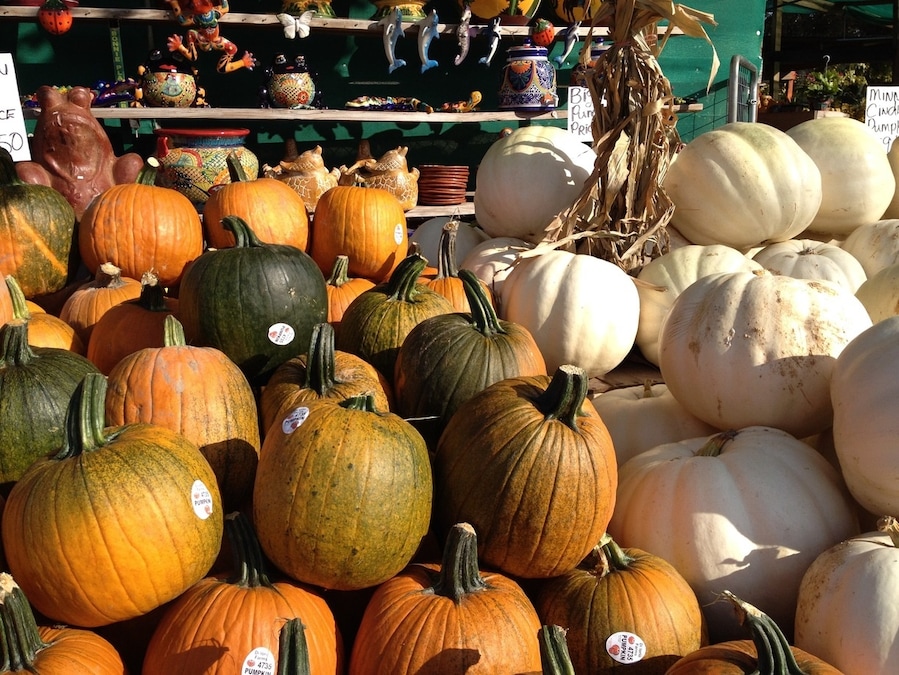 Farmers market