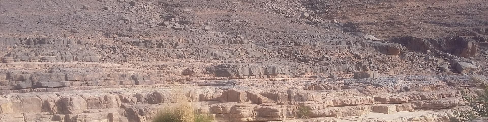 Une oasis sortie de nul part, incroyablement magnifique