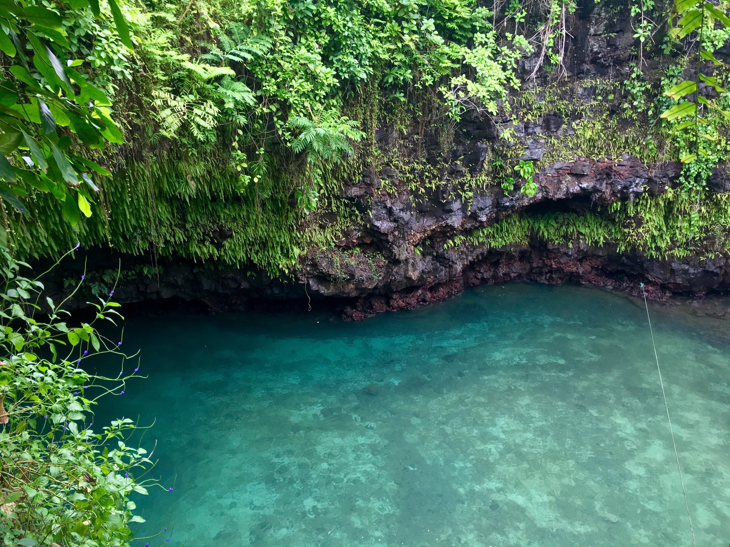 Fossa oceanica To-Sua Ocean Trench a Samoa | Expedia