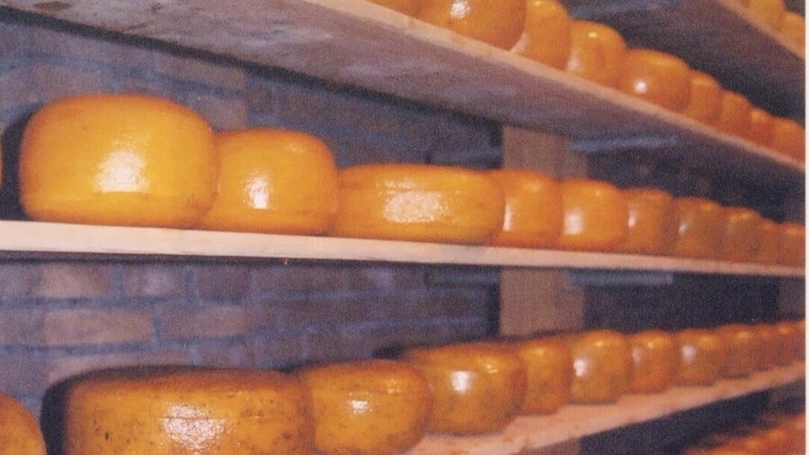 Gouda wheels.