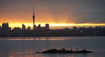 Sunrise over Auckland city - Tamaki Makaurau in Maori language.