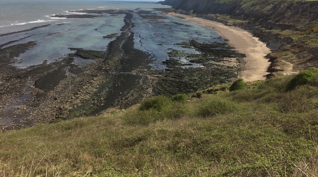 Foto av Martin Gerrish