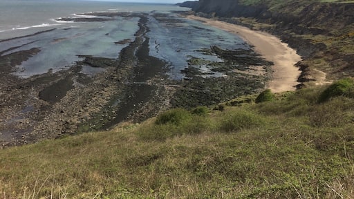 Valokuva: Martin Gerrish