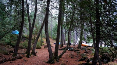 Our beautiful campsite on Highfalls Lake while on a 3 days canoe camping trip in Algonquin Park.