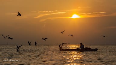 A sunset kayak outing with a few watchful birds
