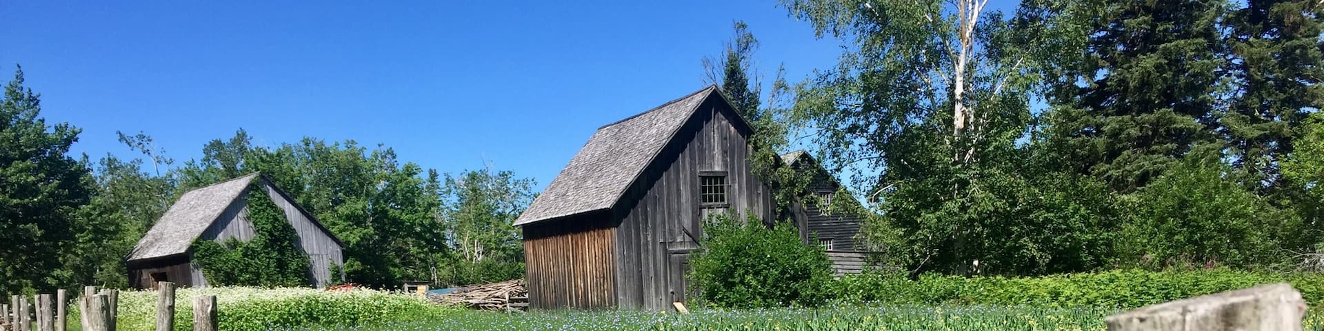 The Cyr home and outbuildings dates to 1852. The flowers are Flax and Buckwheat. Both of which are harvested and used for a variety of purposes.