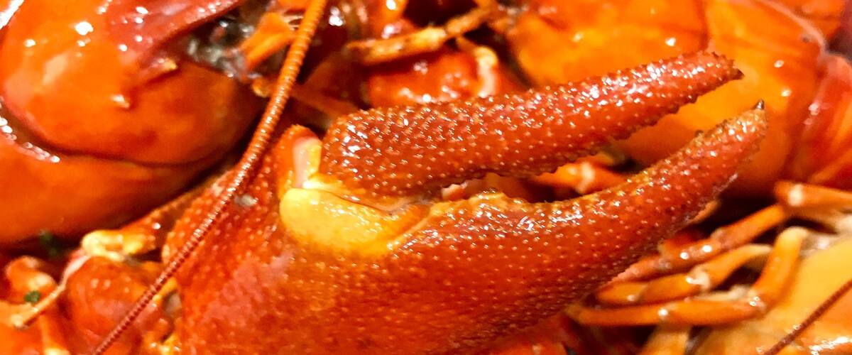 #goodeats Did you ever heard of the Swedish crayfish party? 🦞🇸🇪🦞
A crayfish party is a traditional summertime eating and drinking celebration in the Nordic countries. The tradition originated in Sweden, where a crayfish party is called a kräftskiva. 🦞 🇸🇪 🦞
 I do living in Arizona USA but I have great friends coming from Sweden where we celebrated the party this year! #crayfish #sweden #arizona