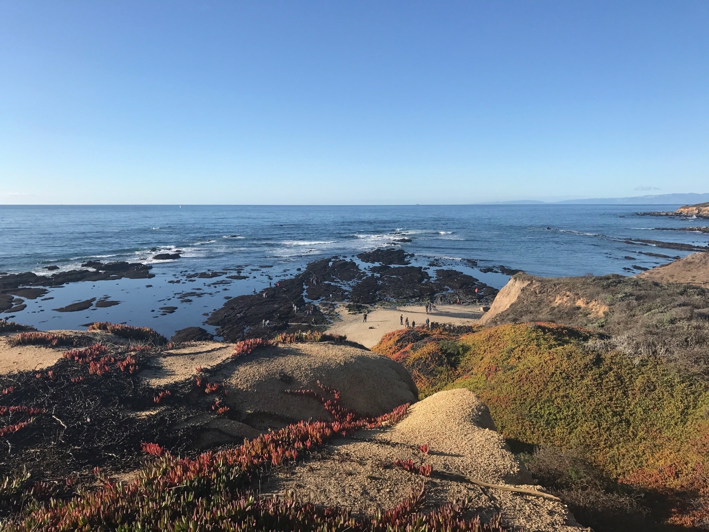Visit Moss Beach 2020 Travel Guide for Moss Beach, San Francisco Expedia