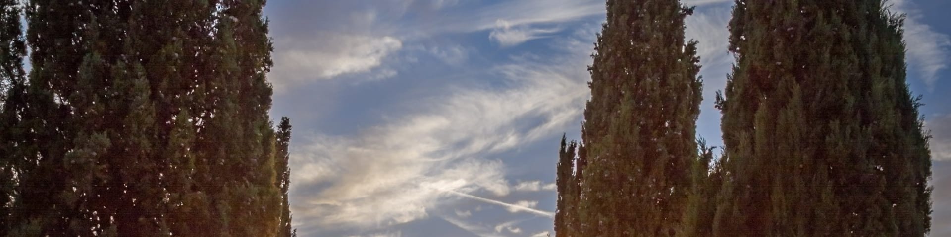 Sunset on a traditional cypress alley near Ponteginori in the Tuscany region of Italy.