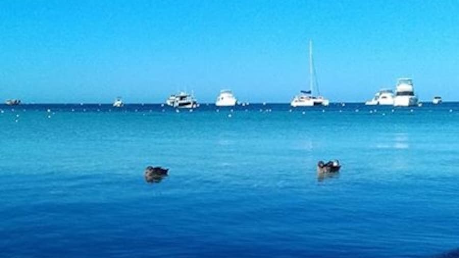 Pristine water near Rottnest Island