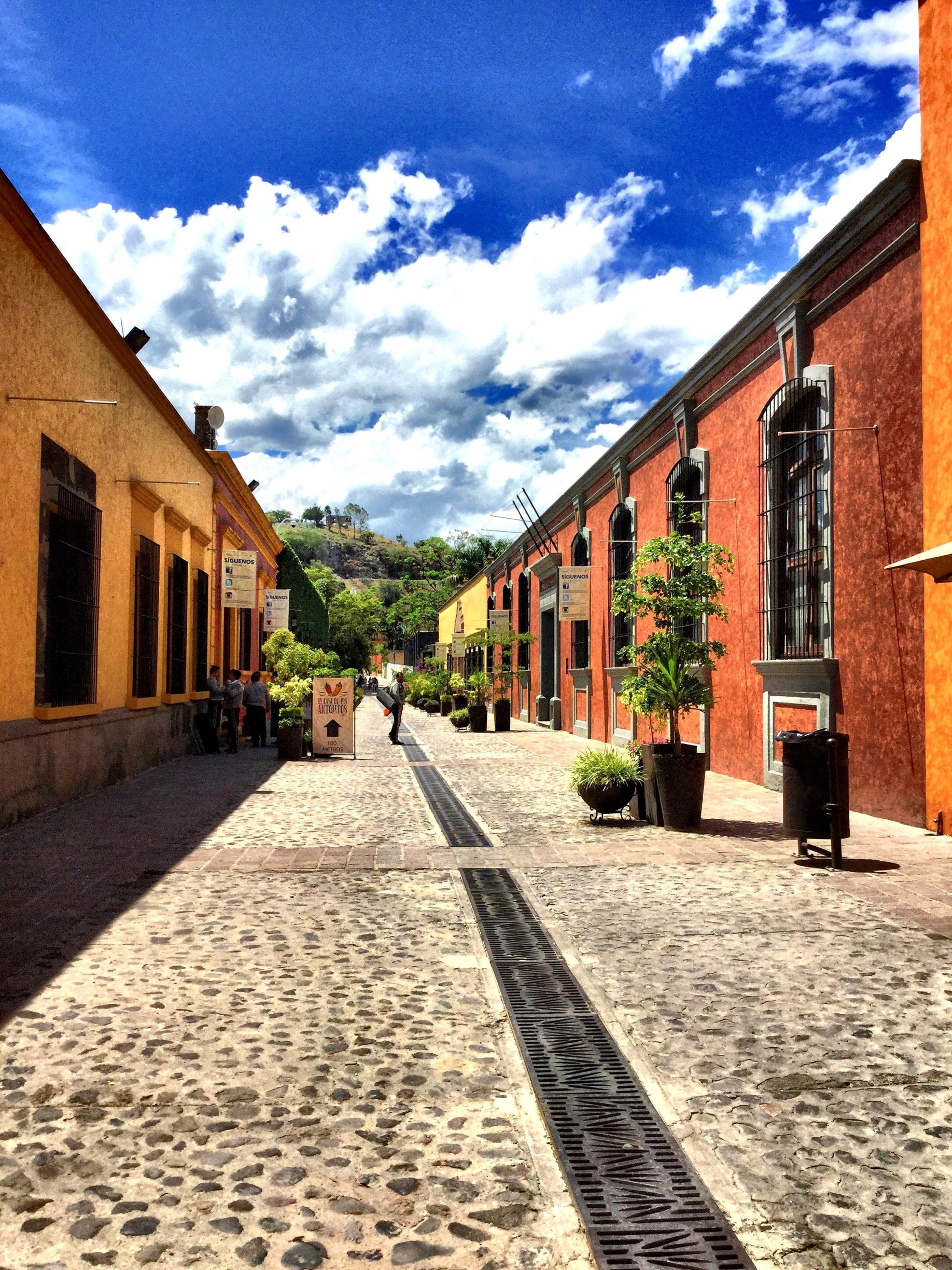 Tequila turismo: Qué visitar en Tequila, Jalisco, 2023| Viaja con Expedia