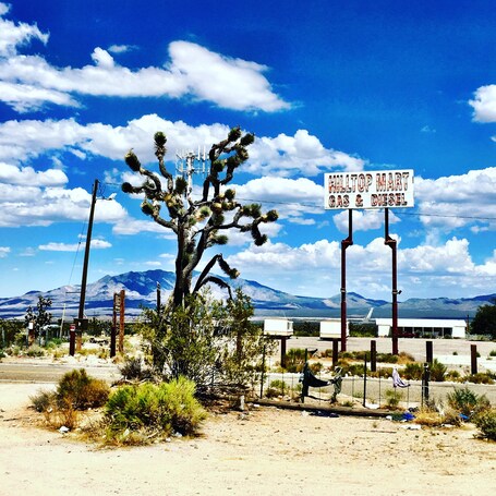 value: "The Mojave Desert is incredibly surreal. It was so hot that day, but worth doing the trip! #EndlessSummer #roadtrip"
