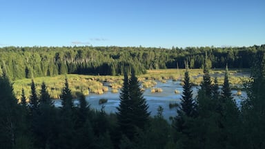 Beaver Pond Overlook at Ash River section of Voyageurs National Park. Bring your binoculars if you hope to be able to see the beavers at work. 
