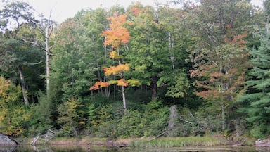 The Mass Audubon's High Ledges Wildlife Santuary is a hidden gem, a beautiful hike through the woods with a great view of the valley at the end. Can't say we saw any wildlife in late September, but it's a perfect time for pretty foliage. Great hike for kids! #Massachusetts #NewEngland #fall #colors #hiking #outdoors