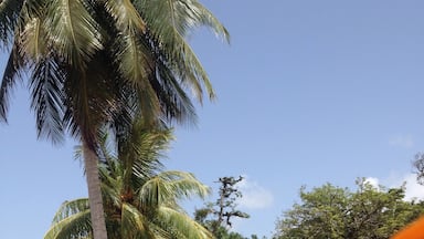 After a hike and then private boat ride we got to Playa Blanca #beach in Livingston, Guatemala. My view after waking up from a nap in a hammock. 