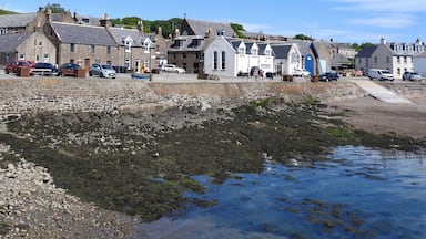 Low tide at the waterfront of the coastal village of Johnshaven, Scotland. The flax industry, sailmaking and fishing have historically been an integral part of the life and economy. 

#LikeALocal #OnTheRoad