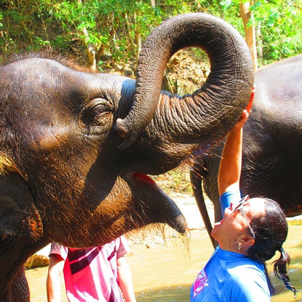 One of the most exhilarating experiences of my life. Elephants are truly amazing animals with the ability to connect if they are in a loving environment. Do not miss this once in a lifetime experience if you find yourself in Thailand.  