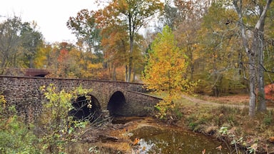 The Stone Bridge crosses over Bull Run near the Manassas Battlefield. During the first major battle of the Civil War, the original bridge was destroyed. However, it was rebuilt and is now a historic landmark with hiking trails through out. 

The location is beautiful and peaceful, a great spot to visit any time of the year to witness eagles soaring or other animals and birds of the Virginia countryside. 

#hiking #nationalpark #outdoors #history