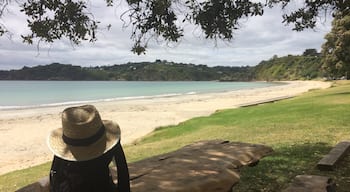 I just arrived on Waiheke Island and already know that this will be one fantastic day! It is very easy to get here - catch the ferry in downtown Auckland and in 40 min you will be at this magnificent beach!