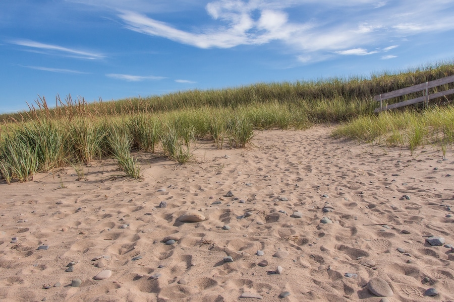 #beach
Pomquet Beach in Antigonish County, Nova Scotia. Lovely sandy beach with boardwalks and dunes.