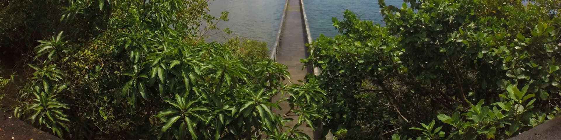 紐約區, 沙馬納, 薩馬納, 多明尼加共和國