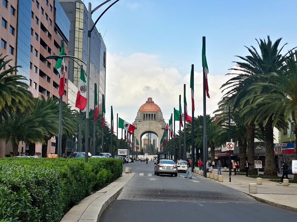 Mexico City was absolutely wild. Don't miss out on seeing what this great city has to offer; you can practically breathe in the culture. It's massive, but don't miss out on the Socalo (city centre), Polanco and Xochimilco. 
#Merch #Mexico #MexicoCity 