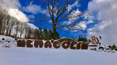 Nemacolin in January=cold and icy!