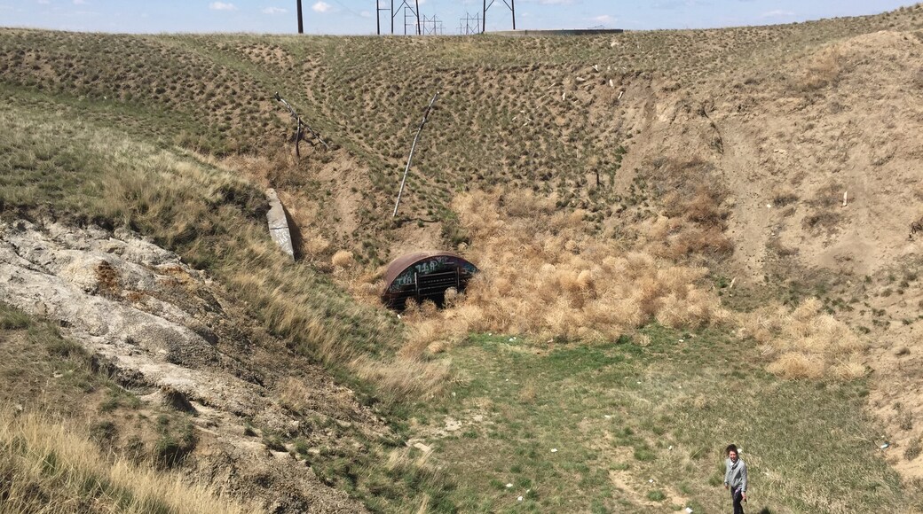 Foto oleh Mary Weber