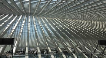 This is the train station at Liege, Belgium.#Perspectives