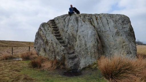 Foto av Sharon Sunshine