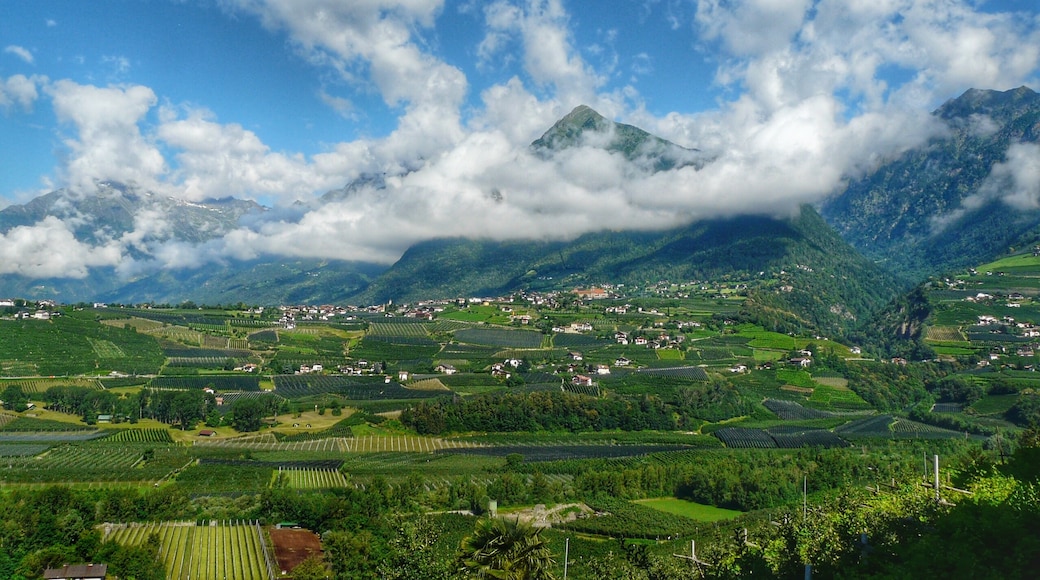 Dorf Tirol, Trentino-Südtirol, Italien