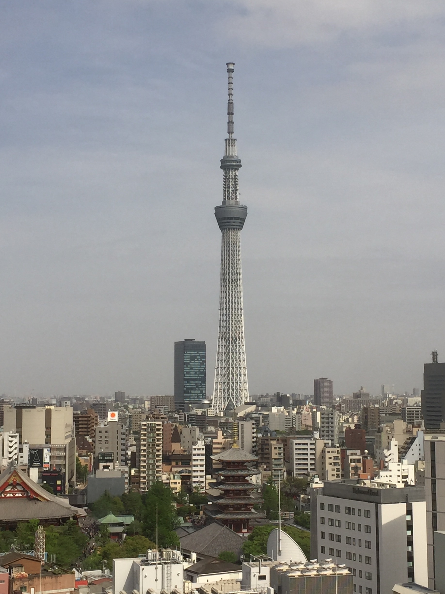 View of the Tokyo Sky Tree.