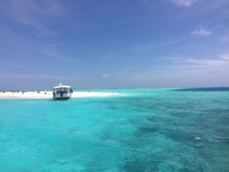 value: "Day tour with lunch on a White Island !"
