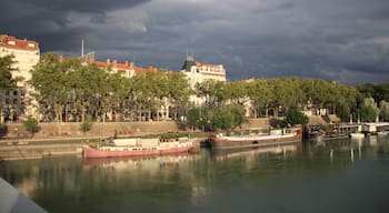 At the bank of the Rhone River there are a lot of cool restaurants or bars within/on top of anchored ships.