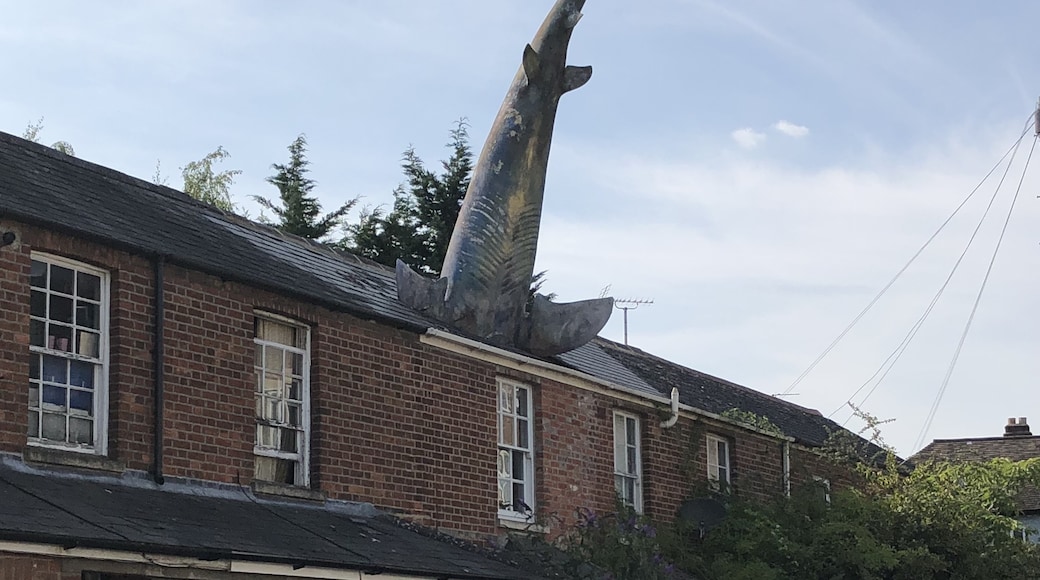 Headington Shark, Oxford, England, United Kingdom