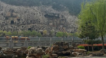 Absolutely incredible caves which go back to the year 493 AD. Each of the cave contained at least one Buddha statue from small to simply gigantic. Not too far from the shaolin temple