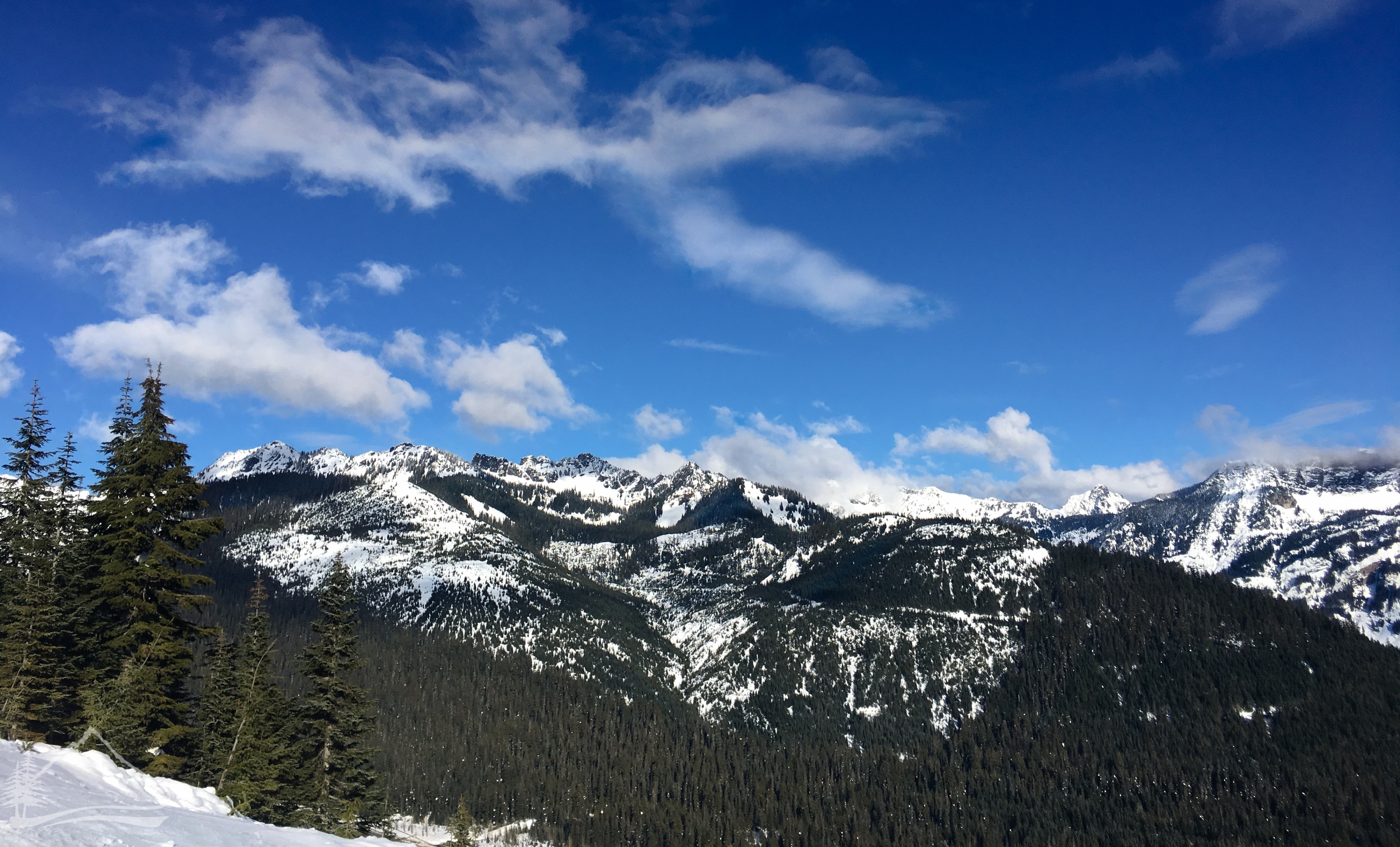 are dogs allowed at snoqualmie pass