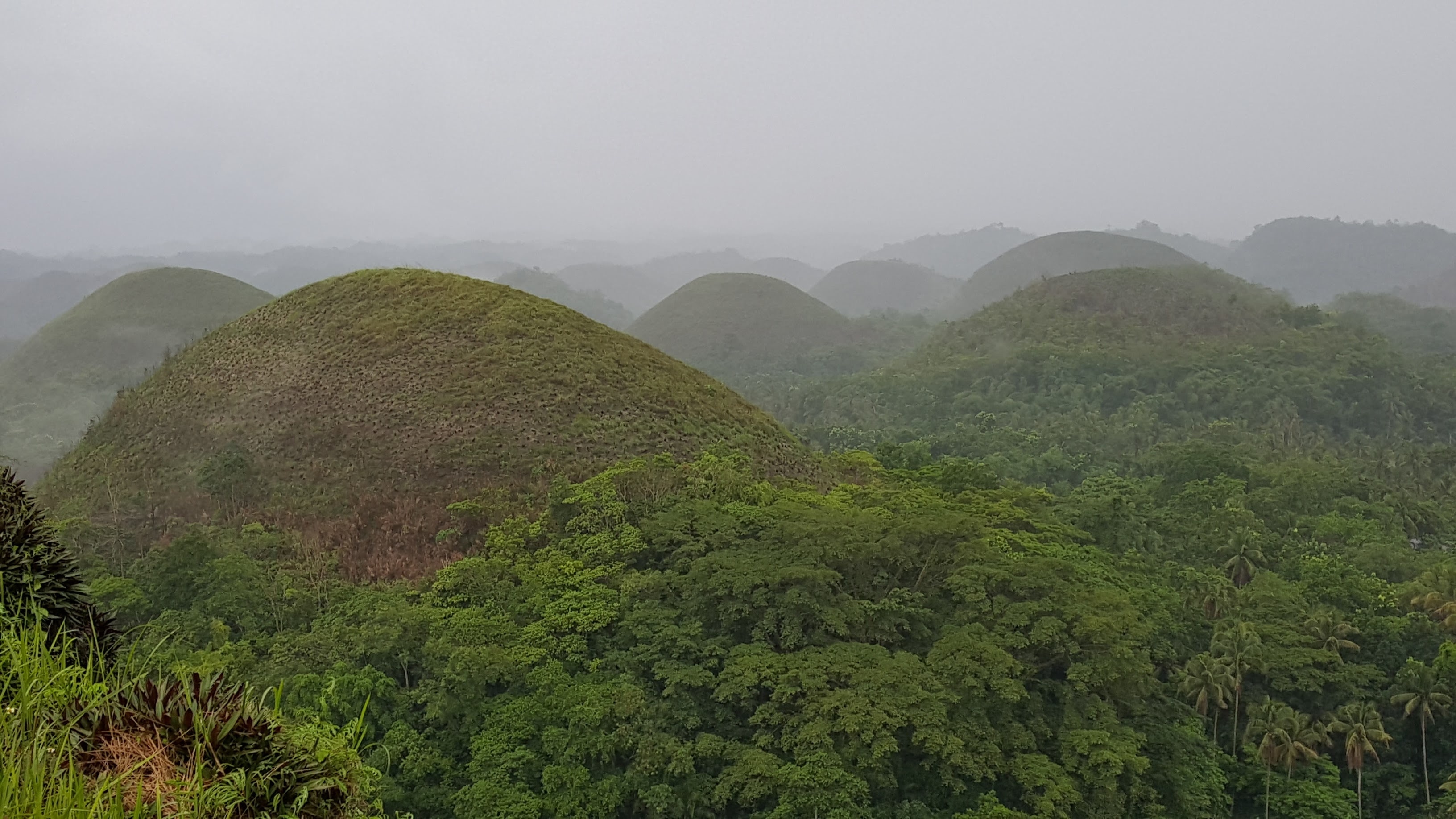 Chocolate Hills in Central Visayas - Tours and Activities