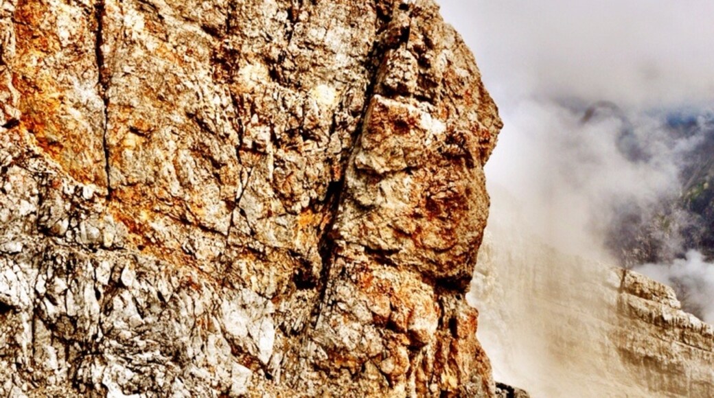 Photo by Bill Dillard