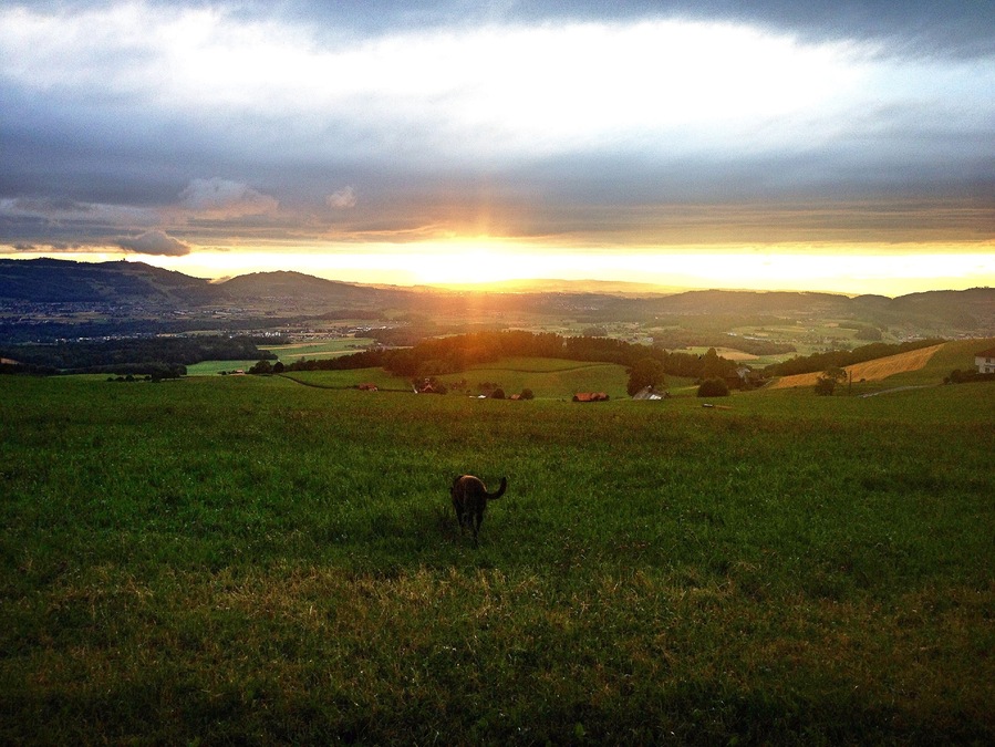 Der Sonnenuntergang ist im Sommer fast jeden abend ein Spektakel. Grillplätze am laufmeter und die Aussicht ist der Wahnsinn.