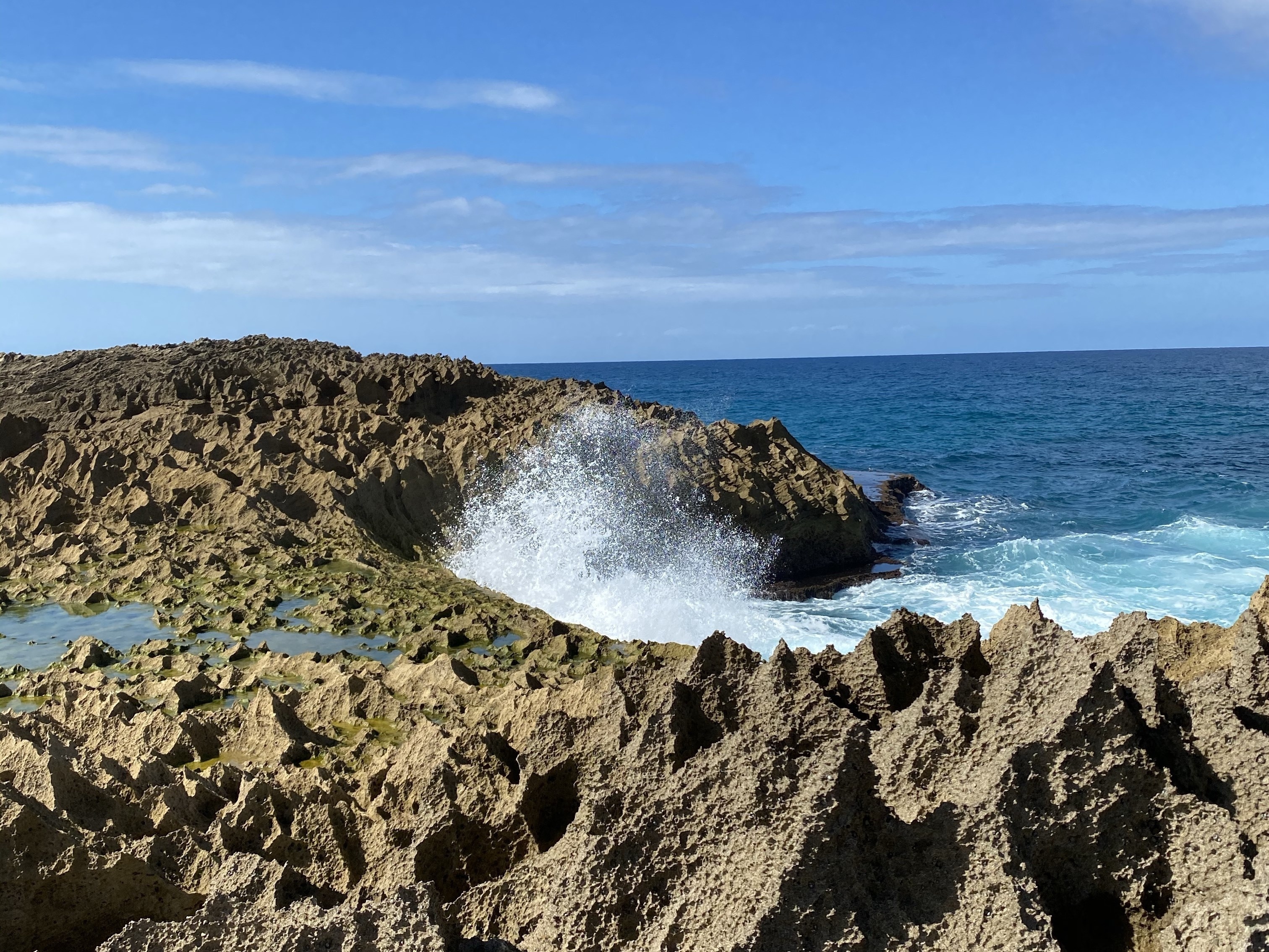 Visit Isabela Best of Isabela, Puerto Rico Travel 2023 Expedia Tourism