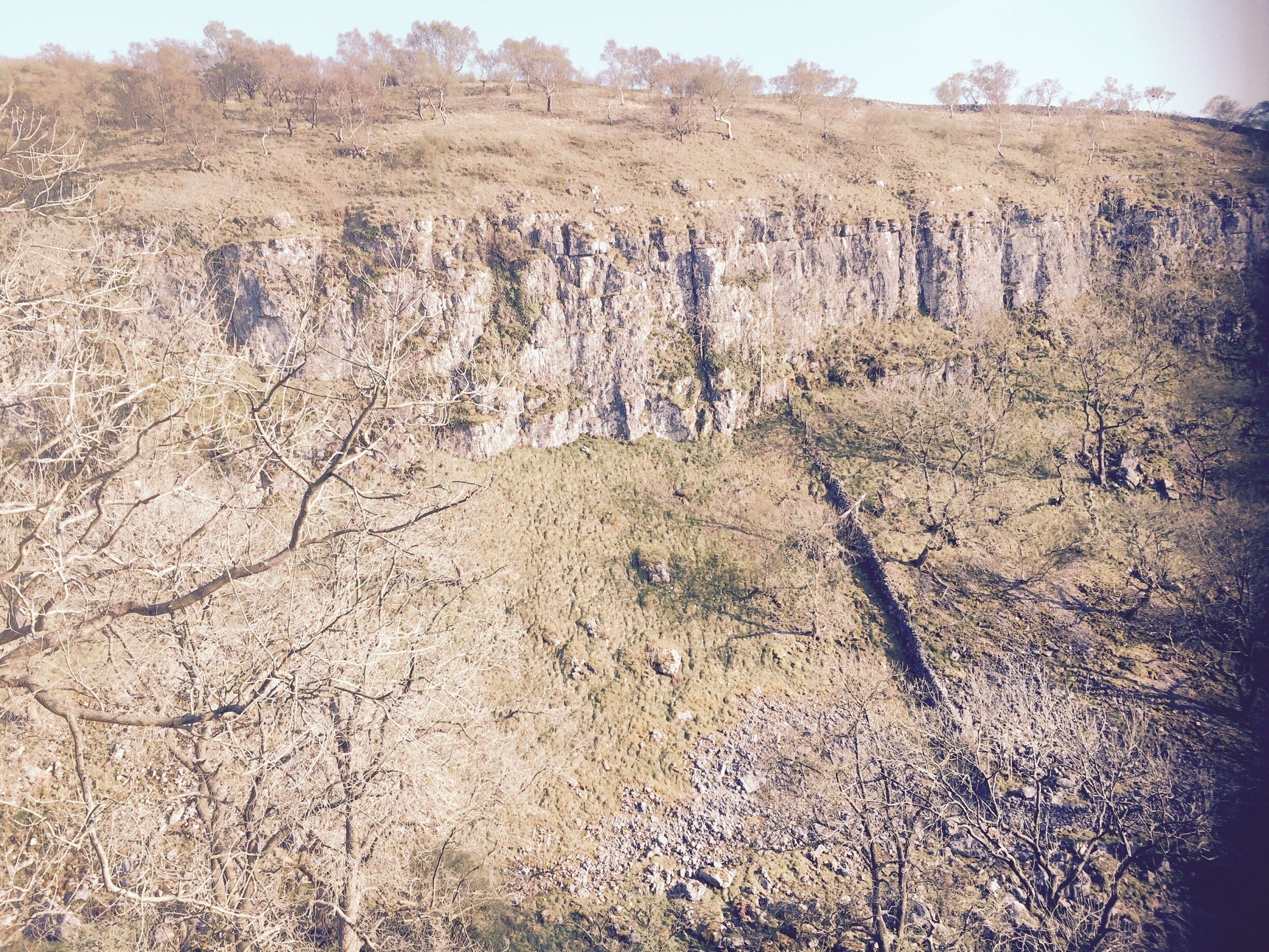 Foto tomada por Sarah Griff