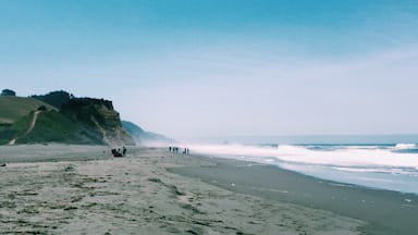 Pacific Ocean in Ferndale, CA. Watch the waves then head in to the beautiful Victorian town of Ferndale. #ferndale #california #smalltowns #wanderlust #travel #ocean #waterlust 