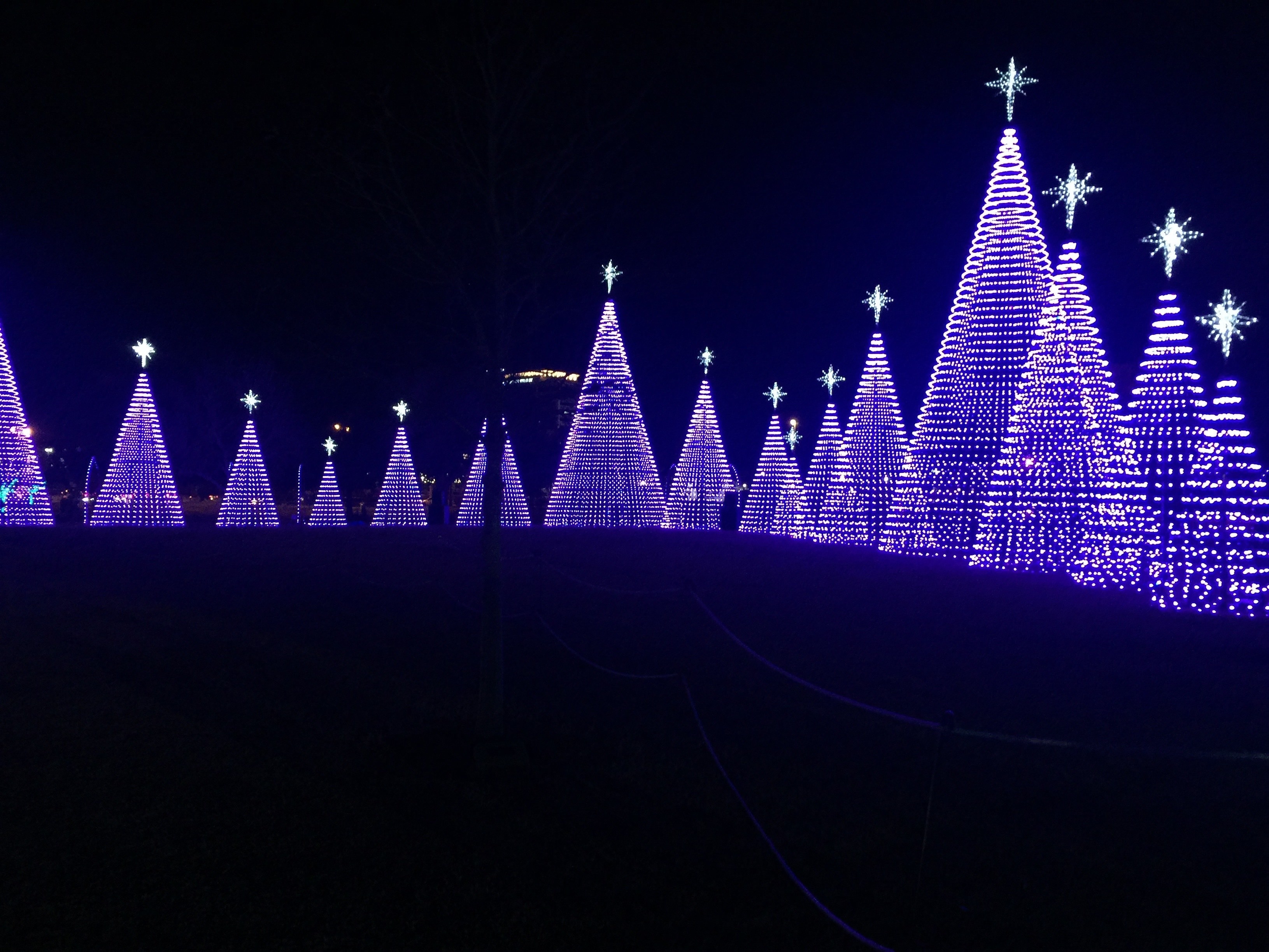 Gulfport Christmas Lights 2022 Gulfport, Ms Vacation Rentals: House Rentals & More | Vrbo