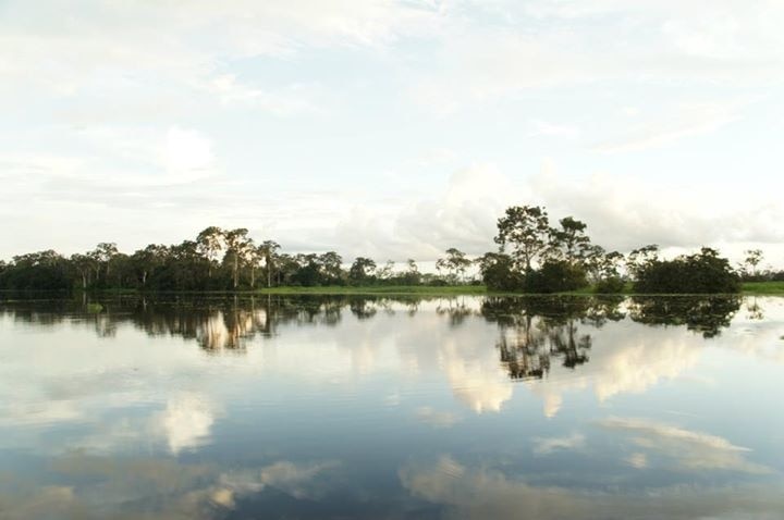 #TroveOn #colorful
the Amazon from the Peruzian side.