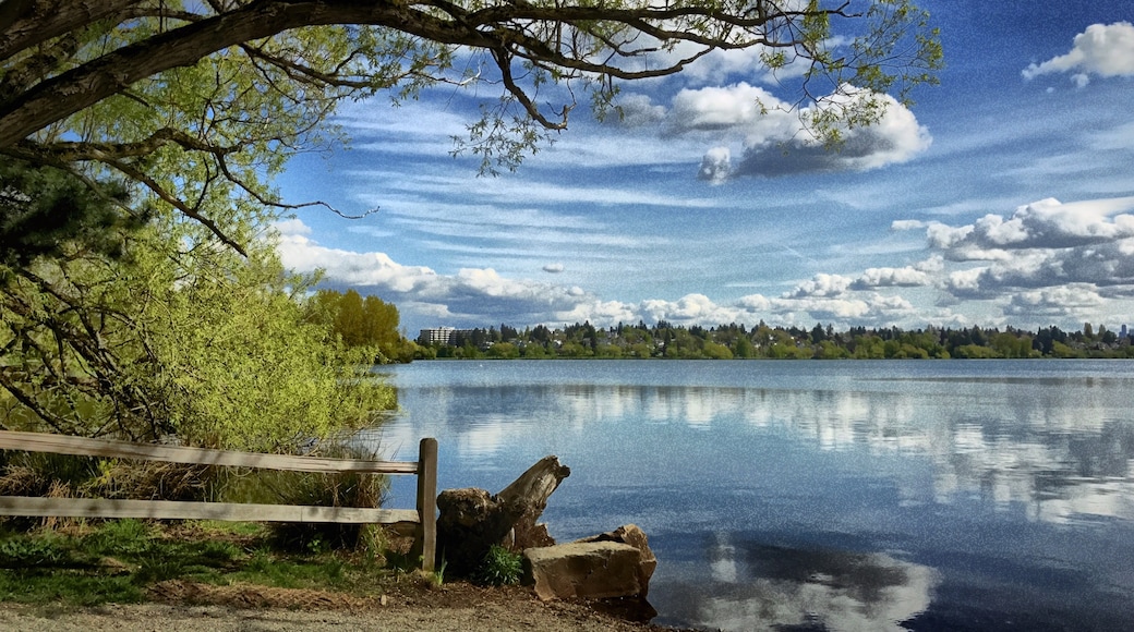 Photo de  Sophia Field
