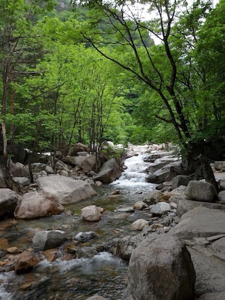 Some amazing hiking in South Korea! There are trails for all levels. The best times to go are spring and my personal favorite, fall, when the leaves are changing colors and it's gorgeous!
Btw, for some reason Trover insists this is in China?!?