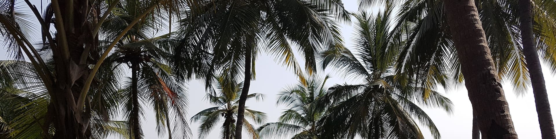 Cabo De Rama fort is amongst the roads less travelled in Goa, India. The fort houses a small church, frequented by the locals. Not only was the destination beautiful but so was the journey. Been here twice and can't wait to go again... 💕 #Green