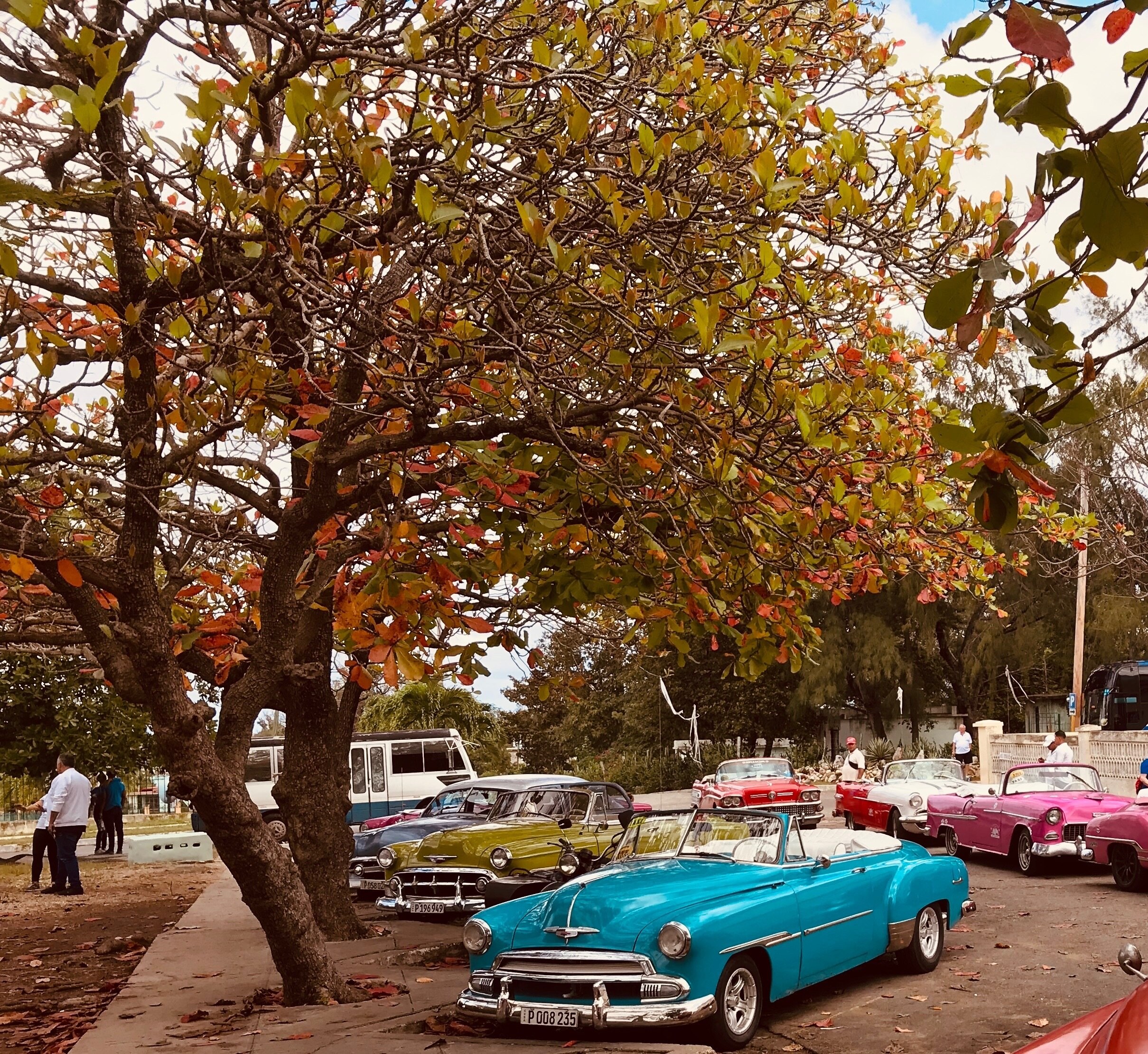 Castro family turns car into classroom with classic road trip